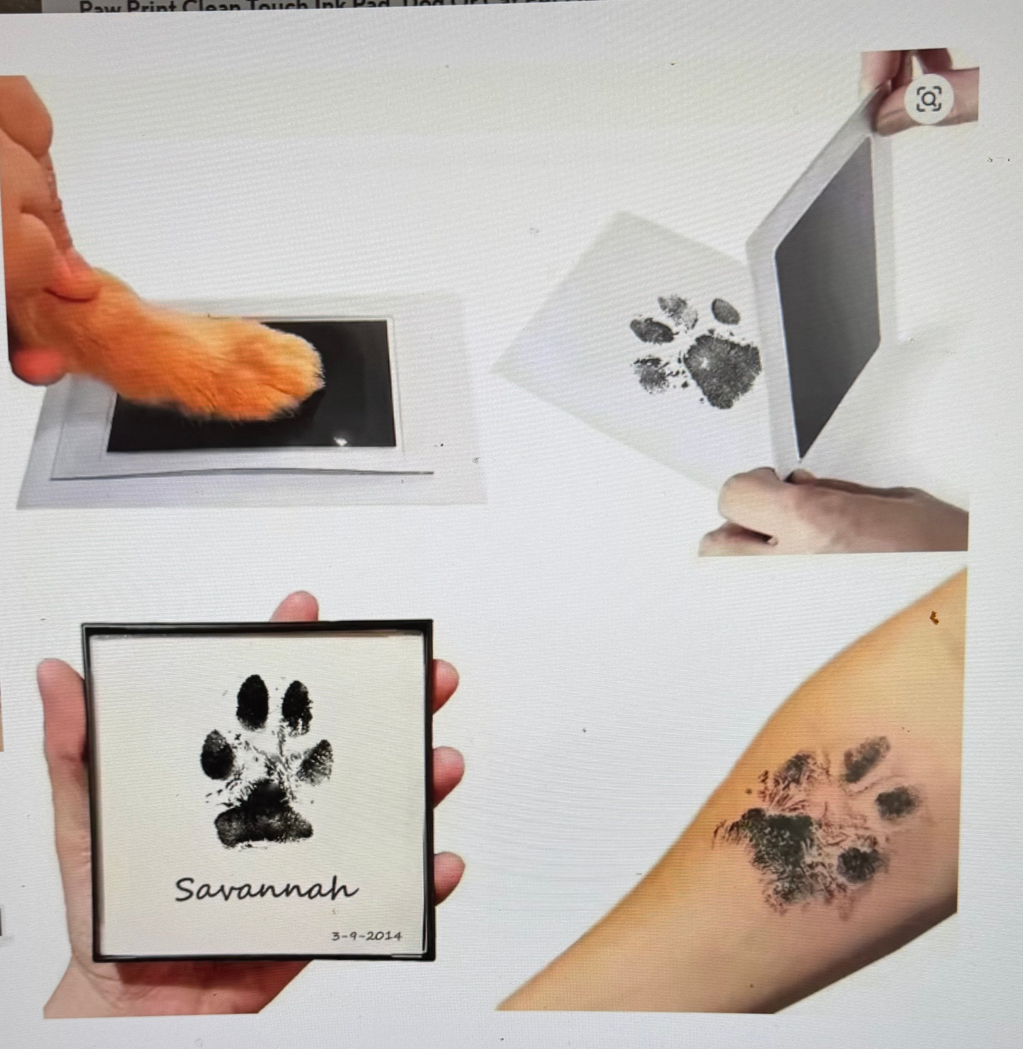 Paw Print Clean Touch Ink Pad