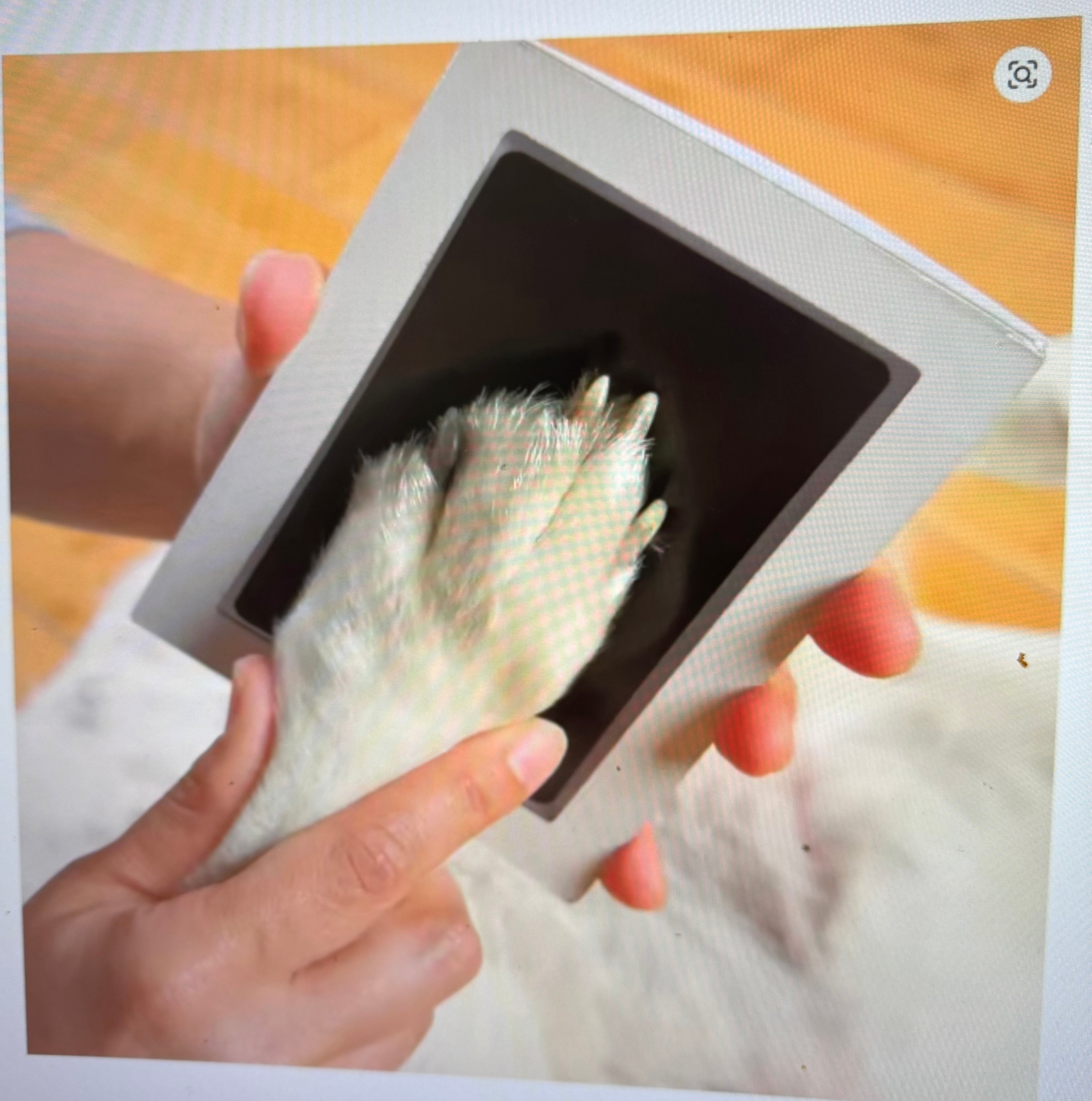 Paw Print Clean Touch Ink Pad